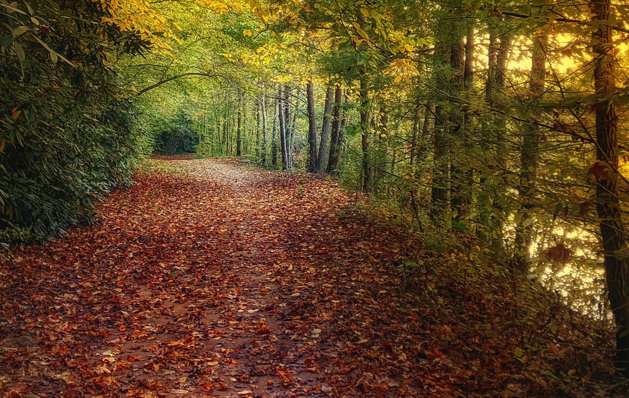 Valdese Lakeside Park Friends of the Valdese Rec